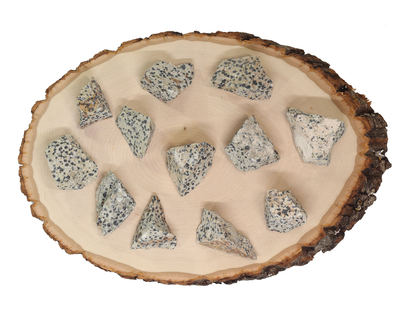 Jasper Dalmation Raw Stone