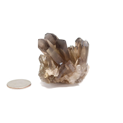 Smoky Quartz Cluster