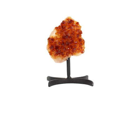 Citrine Cluster on Metal Stand