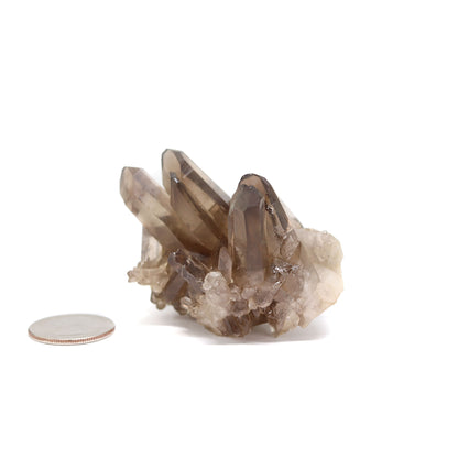 Smoky Quartz Cluster