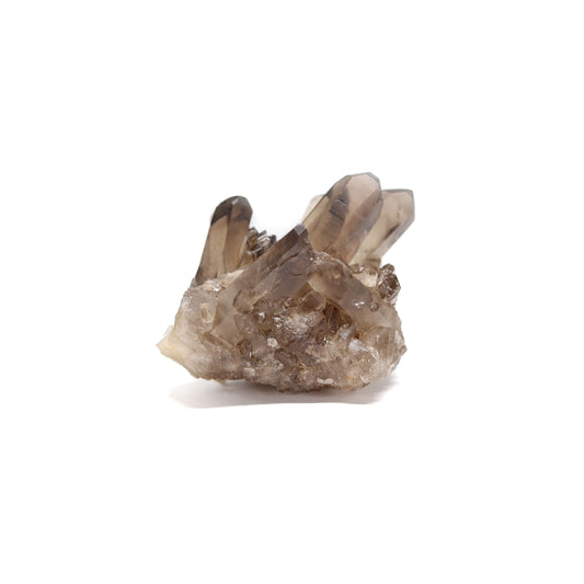 Smoky Quartz Cluster