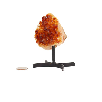 Citrine Cluster on Metal Stand